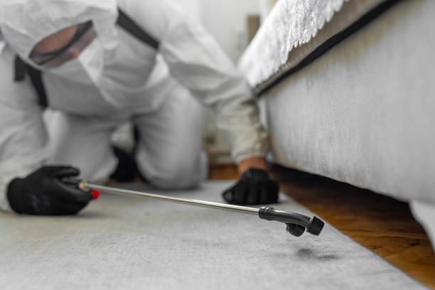 Professional Bed Bug Control technician working in South Browning, MT