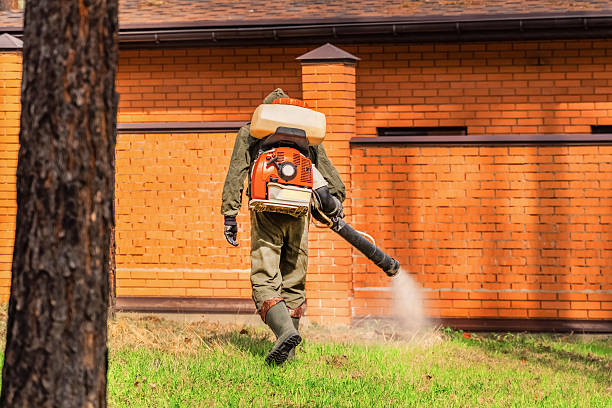 Trusted Bed Bug Control service in South Browning, MT - Nex Pest Control